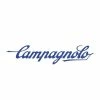 Campagnolo® Plateau Campagnolo FC-SR134 110 Mm 11 Intérieur - Noir
